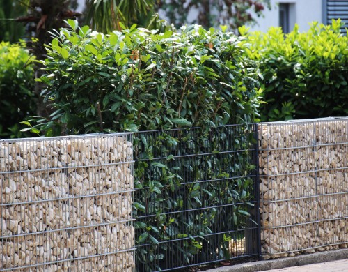 Decorative Walls & Fences